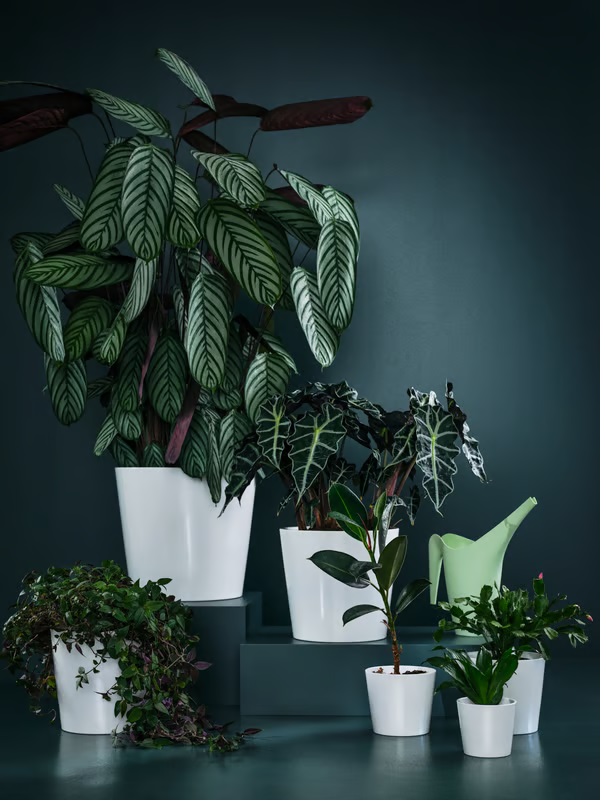 Pot And Planter Store